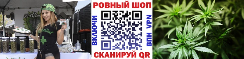 Наркошоп купить СОЛЬ  Меф  МДМА  COCAIN  ГАШ  Новоржев