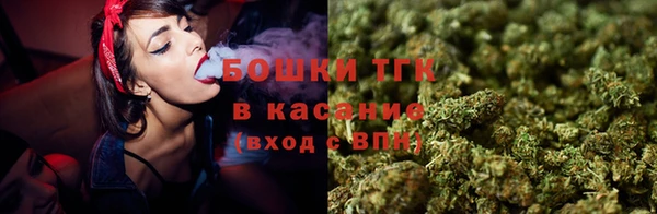 гидра Киренск