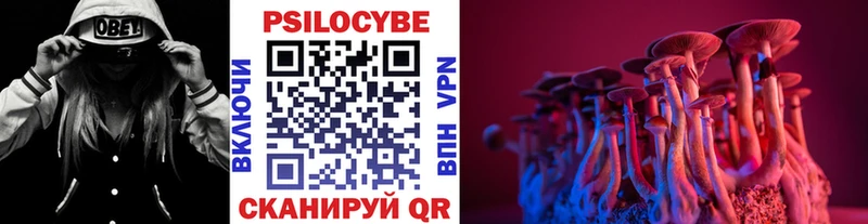 Купить  Новоржев  Псилоцибиновые грибы ЛСД 